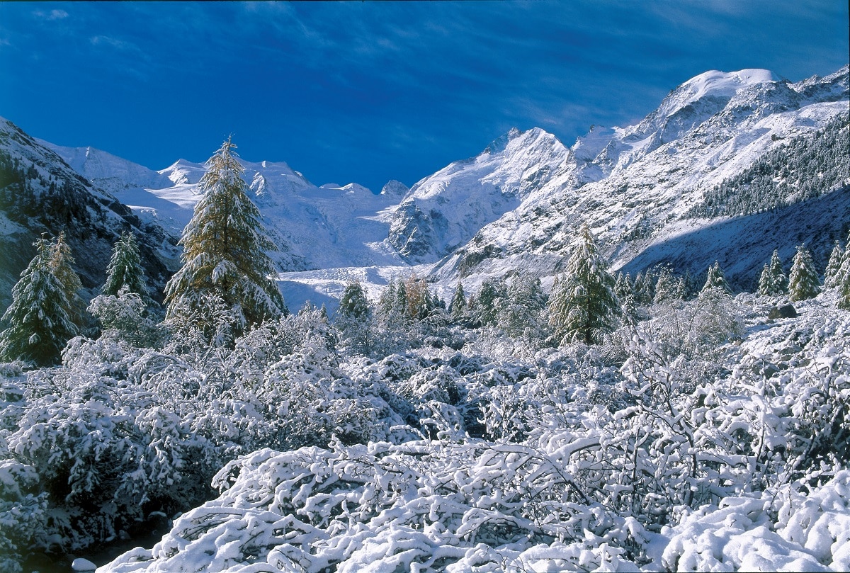 Engadina Pizzo Bernina