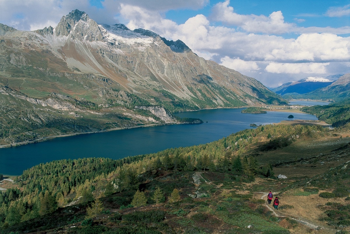 Pizzo Bernina Territorio Pizzo Bernina