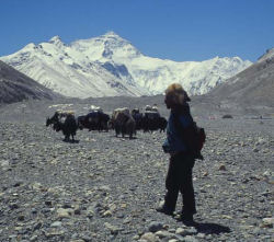 everest autostrada