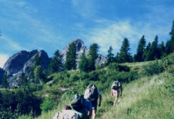 pizzo tre signori