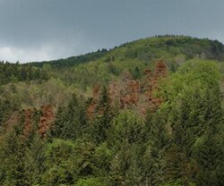 deltaplano appennino montagna