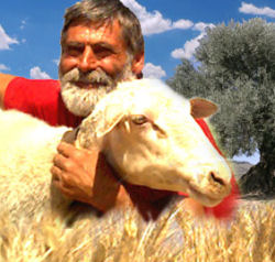 pastore adotta pecora a distanza montagna sardegna