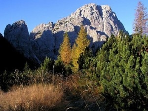 Veduta del Monte Sernio in Carnia