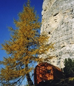 Bivacco Carnielli - De Marchi (Photo Cai Cornegliano)