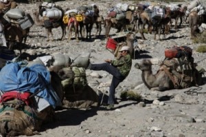 GI,Trekking con i cammelli nel selvaggio nord del Karakorum