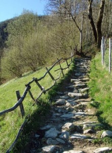 Sentiero in località Cler a Sedrina (Photo Valbrembanaweb)