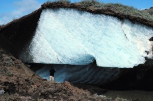 permafrost artico