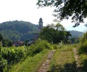 Sessa