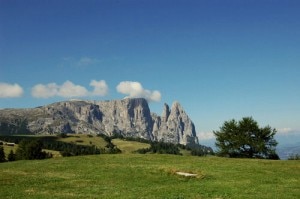 Sullo sfondo il massiccio dello Sciliar