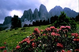 La Val Gardena