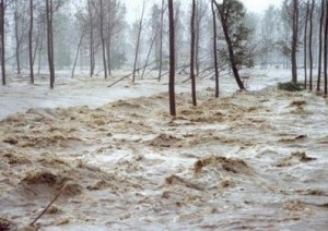 Cresce il numero delle vittime dell'alluvione