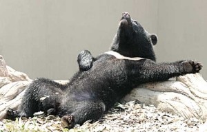 Stavolta ho mangiato bene... Stavolta ho mangiato bene...
