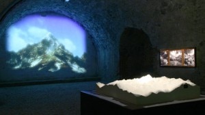 sezione mostra ambiente e territorio 