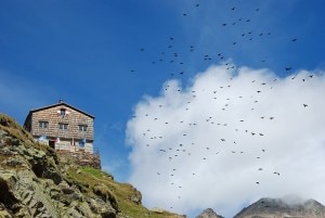 Il rifugio Vedretta Pendente