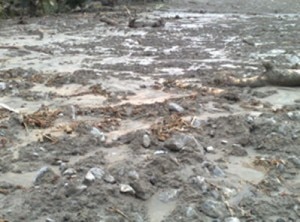 I resti del disastro naturale I resti del disastro naturale