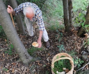 INCIDENTI MONTAGNA: TANTE VITTIME TRA CERCATORI FUNGHI