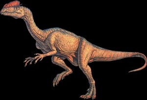 Un dilophosaurus