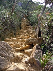 Kinabalu National Park