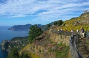 Cinque Terre