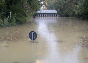 Vicenza (Photo Andrea Serventi - La Repubblica)