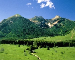 CONCA DELLE VIOTE, SFONDO TRE CIME - R. MAGRONE