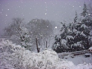 Nevica in Trentino e in Friuli