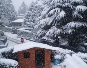 Una foto di questa mattina a Ballabio in Valsassina (Photo Sara Sottocornola)