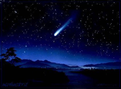 La Stella Cometa Di Natale.E La Stella Cometa Divenne La Stella Alpina Montagna Tv