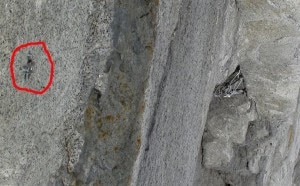 Chiodi lasciati dalla squadra di Lama piantati vicino ad appigli naturali (photo Rolando Garibotti su colinhaley.blogspot.com). Chiodi lasciati dalla squadra di Lama piantati vicino ad appigli naturali <br> (photo Rolando Garibotti su colinhaley.blogspot.com).