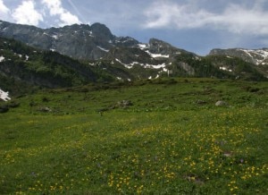 Il Parco Naturale Orsiera Rocciavrè in primavera (Photo Parks.it)