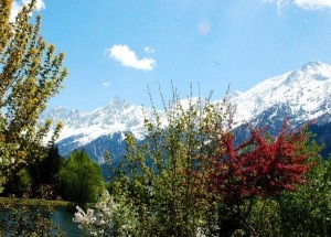Monte Bianco in primavera (Photo Giovanna)