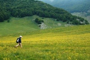 Piana del Voltigno 