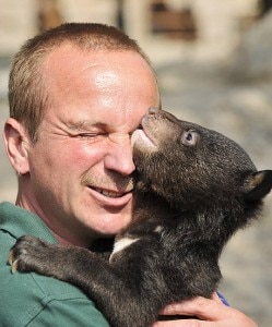 Un cucciolo d'orso (immagine di repertorio)