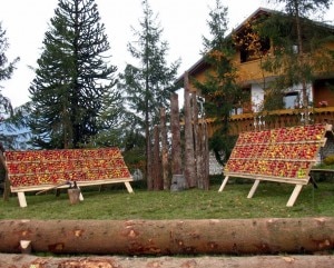 Pom Prussian (Photo Adolfo Da Rold - bbdolomiti.com - Magiche Dolomiti)