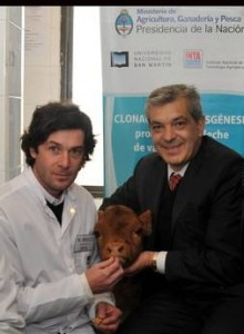 Gli "scienziati" con la mucca clonata