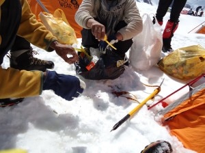 Spazzatura sul Baltoro