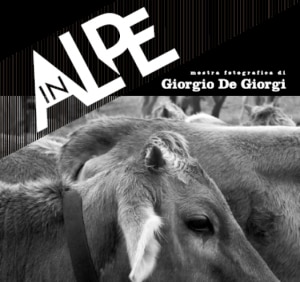 Locandina della mostra 'In Alpe'