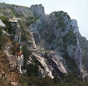 Monte Muzzerone (Photo courtesy of www.campiglia.net)