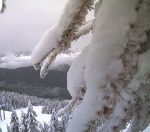 Neve in arrivo (Photo courtesy 3bmeteo.com)