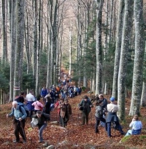 Manifestanti in cammino per la marcia n difesa della foresta del Cansiglio (Photo courtesy of http://mmedia.kataweb.it/foto/3621745)