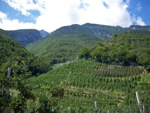 Agricoltura in montagna (Photo courtesy tr3ntino.it)