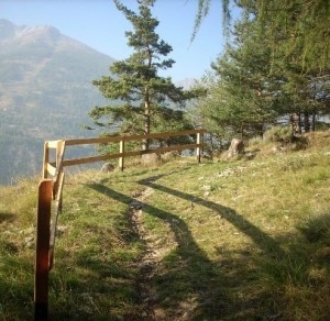 Alcune delle protezioni installate (Photo courtesy of http://www.parcogranboscosalbertrand.it/)