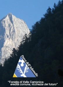 Valle Camonica - locandina incontro