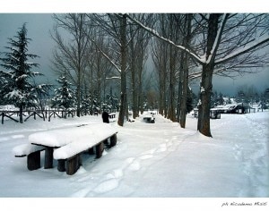 Neve sulla Sila (Photo calabriafoto.wordpress.com)