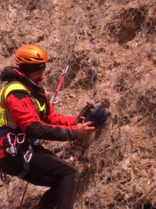 Falco liberato dal Soccorso alpino