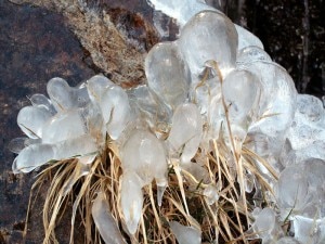 Fiori di ghiaccio (Photo Simona Baglio)