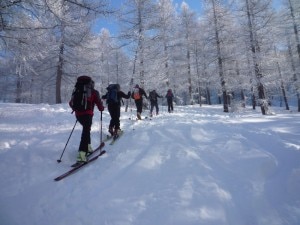 Salendo verso cima delle liste (Ferrero Michele)