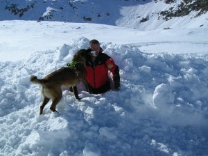 Scuola nazionale cani da valanga