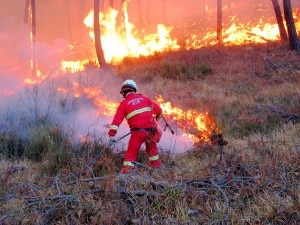 Incendio - foto d'archivio (Photo meteoweb.eu)