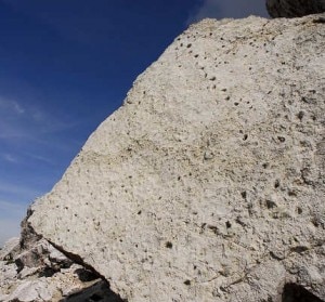 Le impronte di dinosauri sul Pelmetto (Photo courtesy of www.magicoveneto.it)